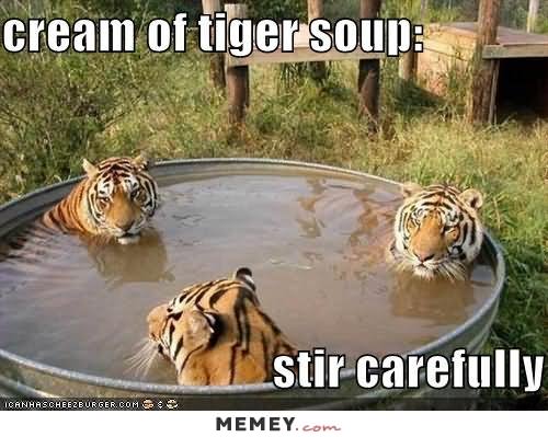 Cream Of Tiger Soup Funny Meme Picture