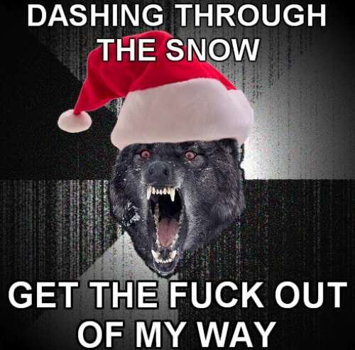 Dashing Through The Snow Funny Wolf Meme Picture For Facebook