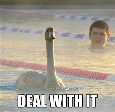 Deal With It Funny Duck Meme Picture For Facebook