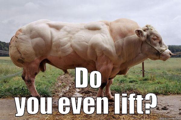 Do You Even Lift Funny Cow Meme Picture