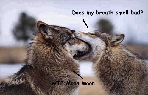 Does My Breath Smell Bad Funny Wolf Meme Image
