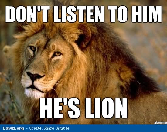 Don't Listen To Him He's Lion Funny Meme Picture
