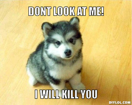 Don't Look At Me I Will Kill You Funny Wolf Meme Image