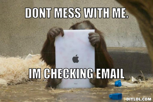 Dont Mess With Me I Am Checking Email Funny Monkey Meme Image For Facebook