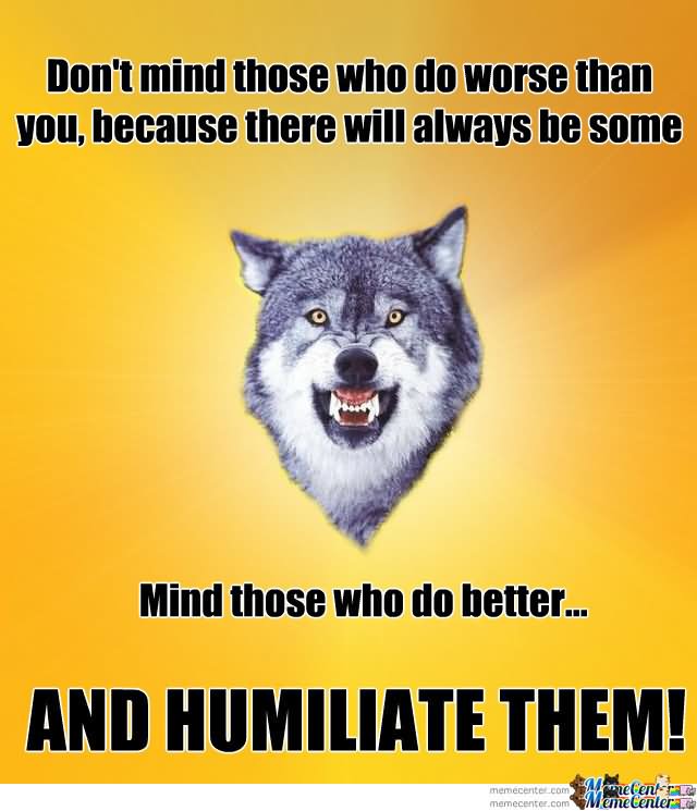 Don't Mind Those Who Do Worse Than You Funny Wolf Meme Image