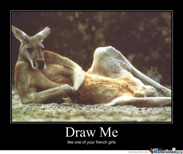 Draw Me Like One Of Your French Girls Funny Kangaroo Meme Poster