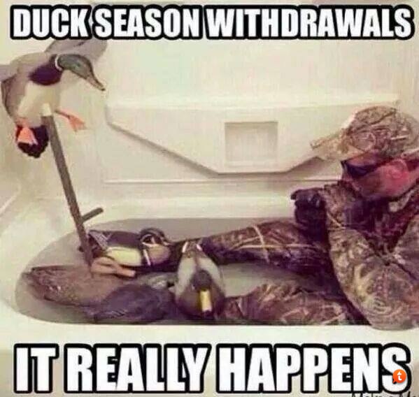 Duck Season Withdrawals Funny Meme Image