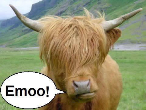 Emoo Face Cow Funny Image