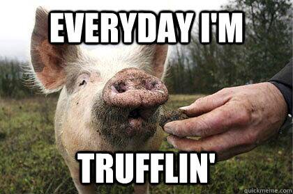 Everyday I Am Trufflin Funny Pig Meme Picture