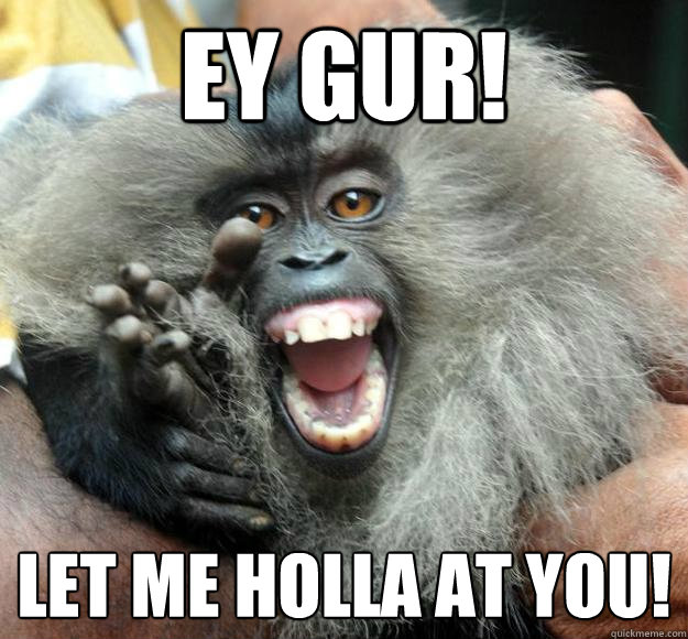 Ey Gur Let Me Holla At You Funny Monkey Meme Picture