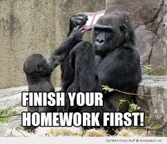Finish Your Homework First Funny Monkey Meme Picture