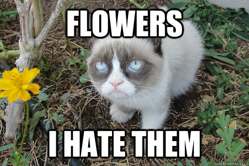 Flowers I Hate Them Funny Meme Picture