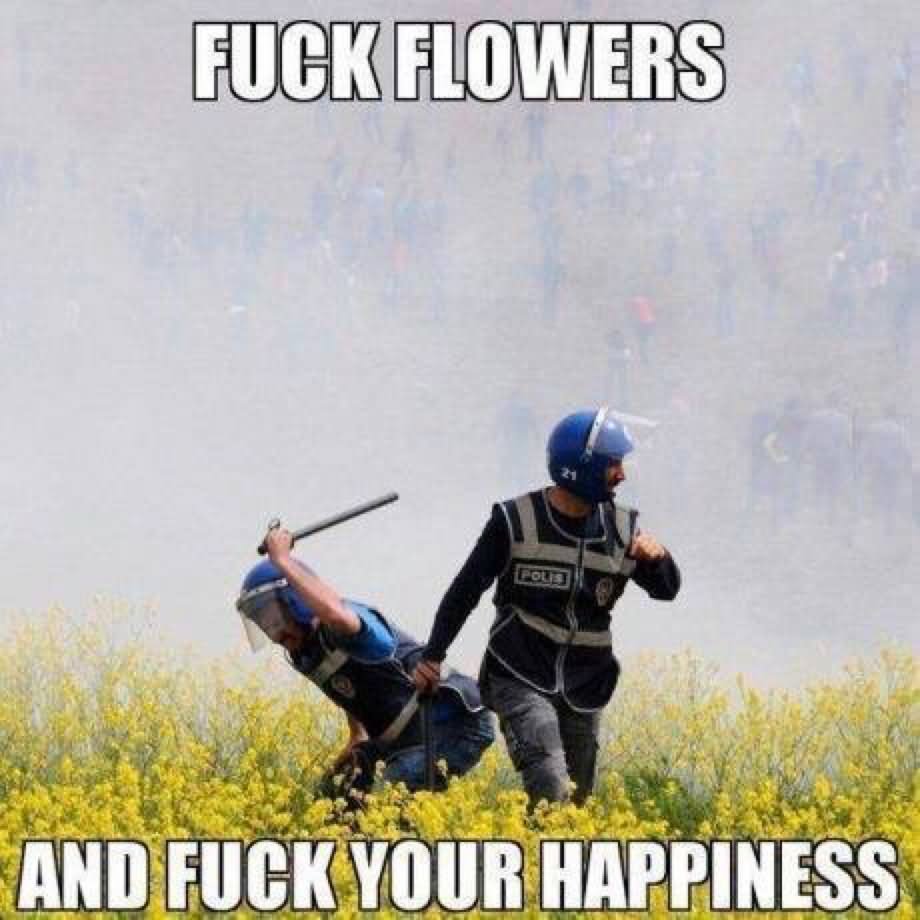 Fuck Flowers And Fuck Your Happiness Funny Meme Picture
