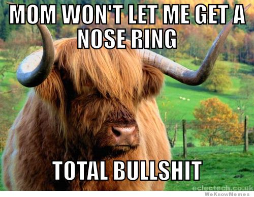 Funny Cow Meme Mom Won't Let Get A Nose Ring Total Bullshit Picture
