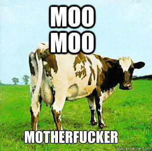 Funny Cow Meme Moo Moo Motherfucker Picture