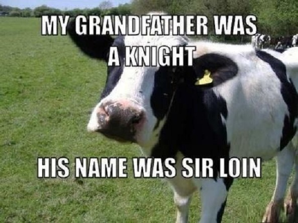 Funny Cow Meme My Grandfather Was A Knight