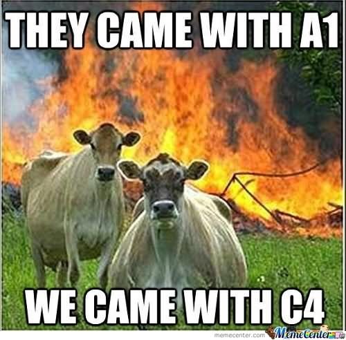Funny Cow Meme They Came With A1 Picture