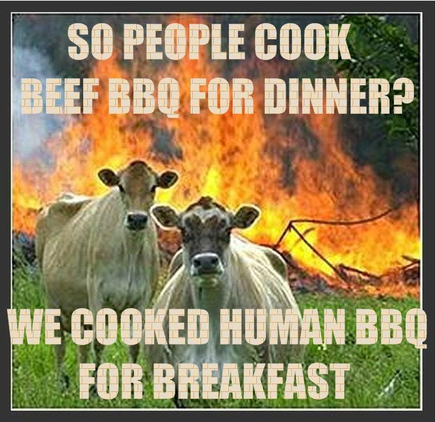 Funny Cow Meme We Cooked Human BBQ For Breakfast Image