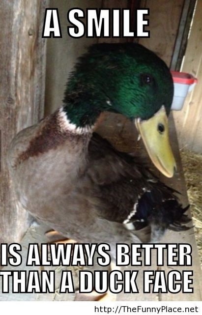 Funny Duck Meme A Smile Is Always Better Than Duck Face Picture