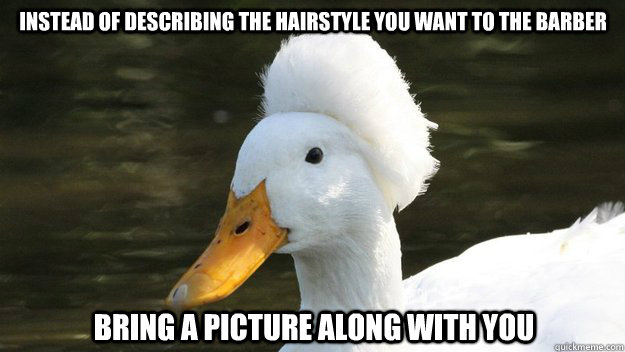Funny Duck Meme Bring A Picture Along With You Picture