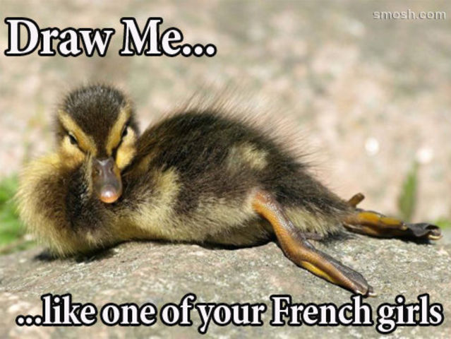 Funny Duck Meme Draw Like One Of Your French Girls Picture