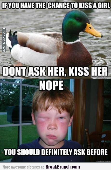 Funny Duck Meme If You Have The Chance To Kiss A Girl Image