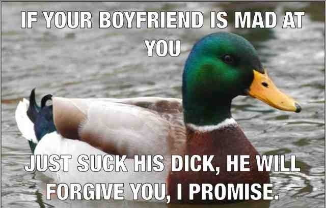 Funny Duck Meme If Your Boyfriend IS Mad At You Picture
