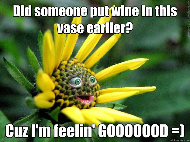 Funny Flower Meme Did Someone Put Wine In This Vase Earlier Picture