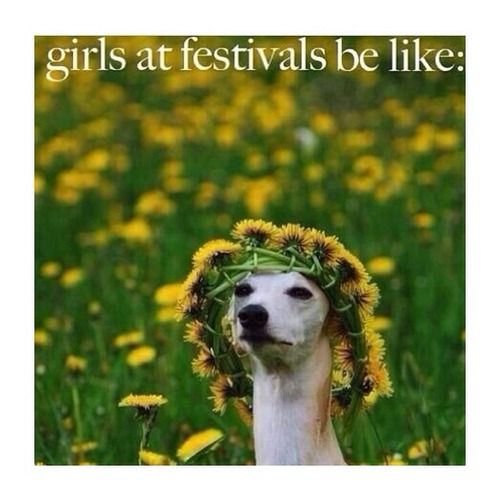 Funny Flower Meme Girls At Festivals Be Like Image