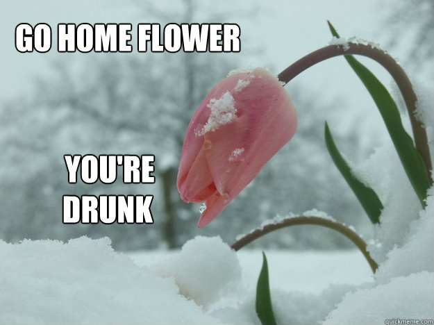 Funny Flower Meme Go Home Flower You Are Drunk Image For Facebook