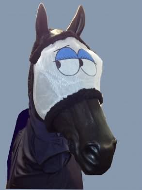 Funny Horse Face Covered With Fly Mask