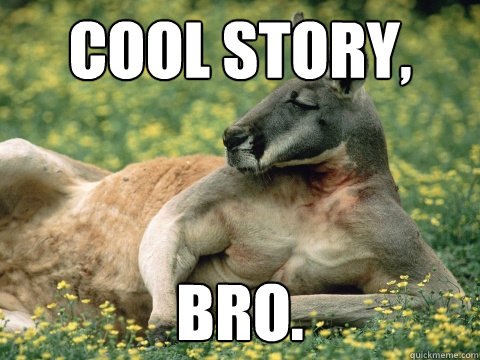 Funny Kangaroo Meme Cool Story Bro Picture