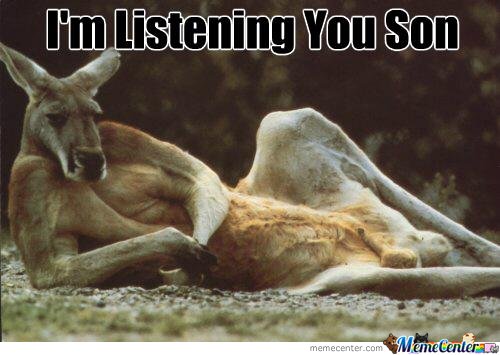 Funny Kangaroo Meme I Am Listening You Son Image