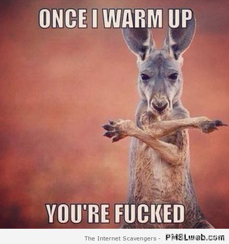 Funny Kangaroo Meme Once I Warm Up You Are Fucked