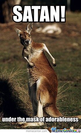 Funny Kangaroo Meme Satan Under The Mask Of Adorableness Picture