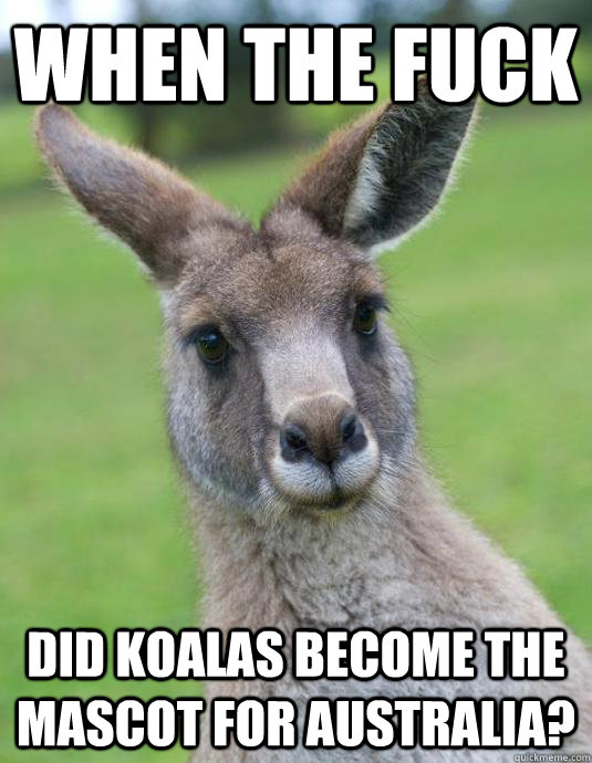 Funny Kangaroo Meme When The Fuck Image