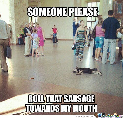 Funny Lazy Meme Roll That Sausage Towards My Mouth Picture