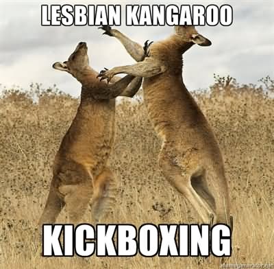 Funny Lesbian Kangaroo Meme Photo