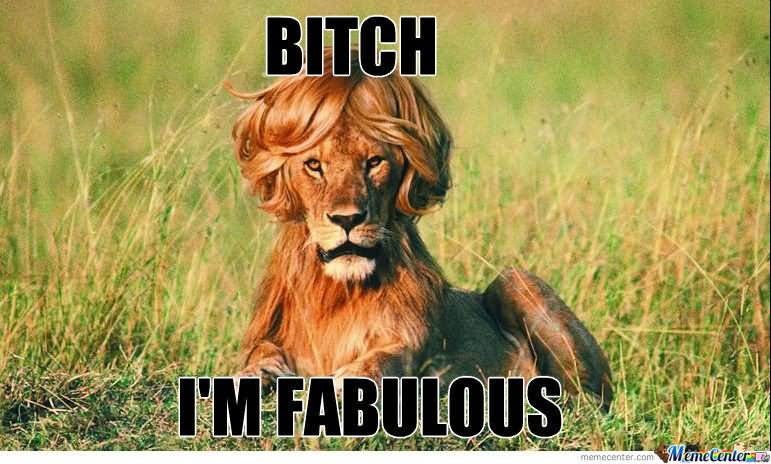 Funny Lion Meme Bitch I Am Fabulous Image For Facebook.