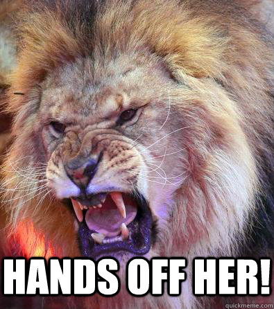Funny Lion Meme Hands Off Her Picture For Whatsapp