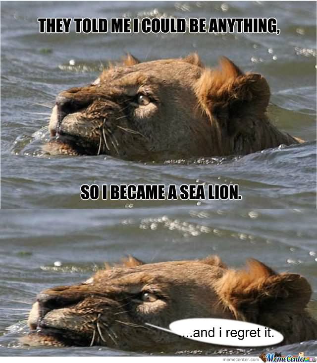 Funny Lion Meme They Me I Could Be Anything Picture