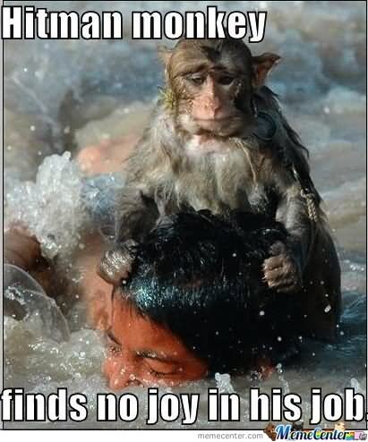 Funny Monkey Meme Hitman Monkey Finds No Joy In His Job