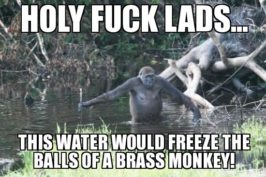 Funny Monkey Meme Holy Fuck Lads Picture