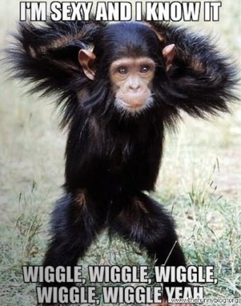 Funny Monkey Meme I Am Sexy And I Know It Picture