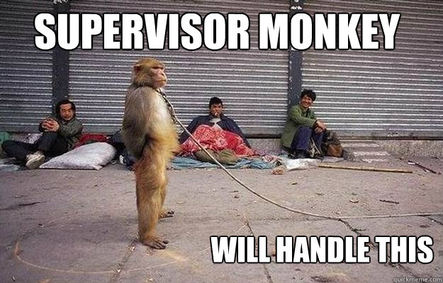 Funny Monkey Meme Supervisor Monkey Will Handle This Image