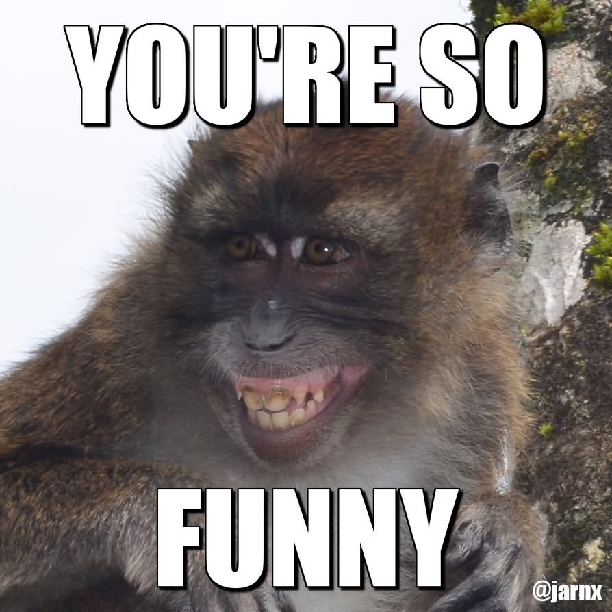Funny Monkey Meme You Are So Funny