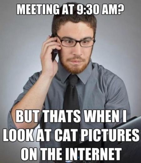 Funny Office Meme When I Look At Cat Pictures On The Internet