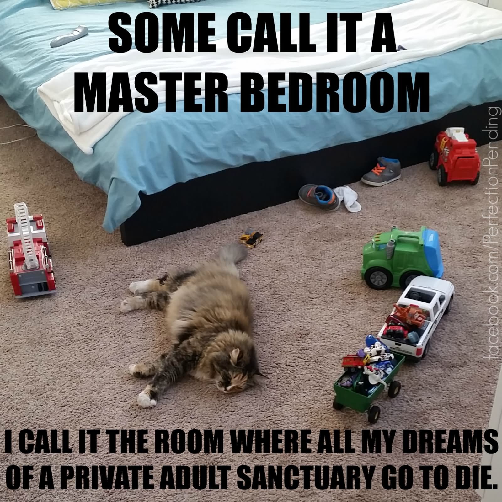 Funny Parents Meme Some Call It A Master Bedroom