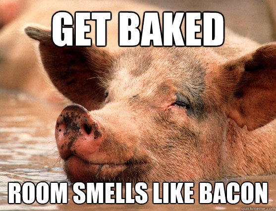 Funny Pig Meme Get Baked Room Smells Like Bacon Image