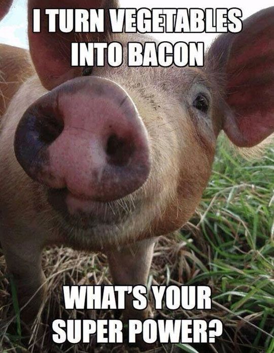 Funny Pig Meme What's Your Super Power Image